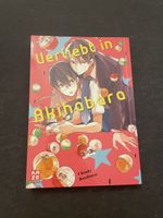 Verliebt in Akihabara - BL oneshot