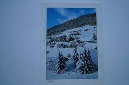Wiesen