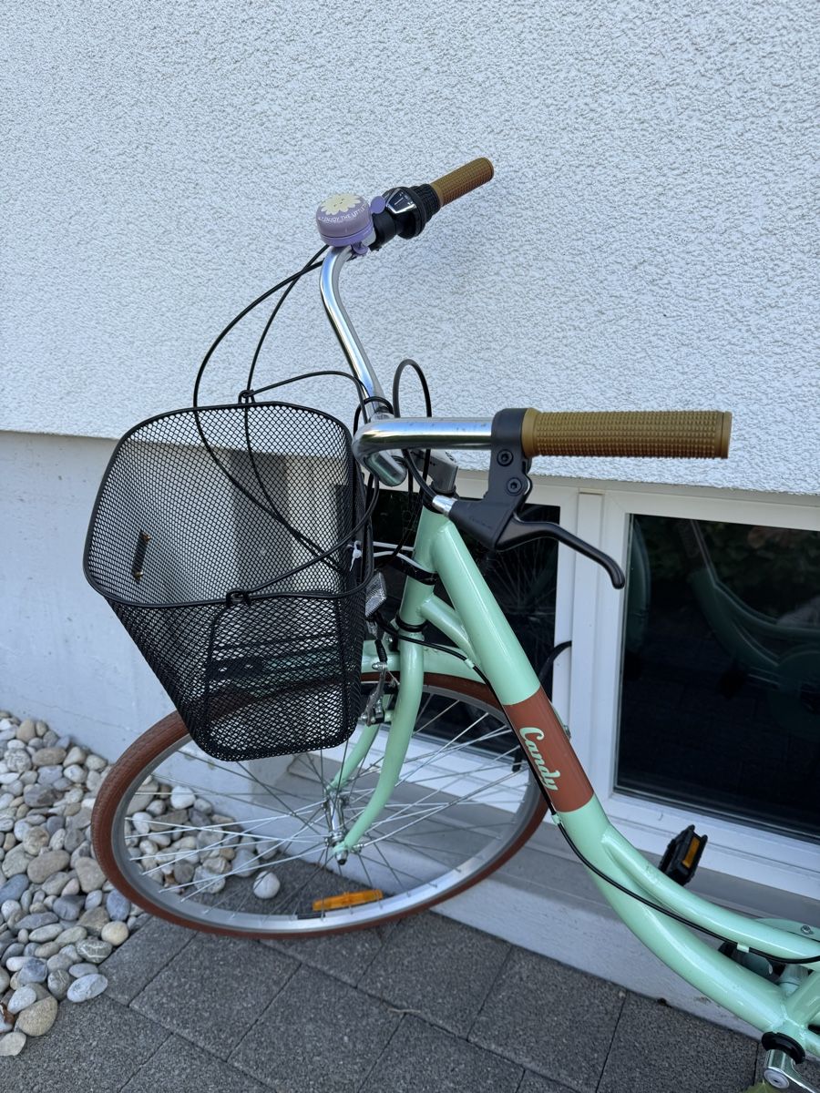 lapierre fahrradständer ZMXRF für Xelius Sensium Zesty Overvolt Aircode,Verstellbarer Fahrradständer Rutschfester Seitenständer Ersatzzubehör Den Hinteren Seitenständer,A Sport & Freizeit Wheeloo Ebike Ladekabel kompatibel DTG Maat:Grijs-XL (195 cm- 205 cm)