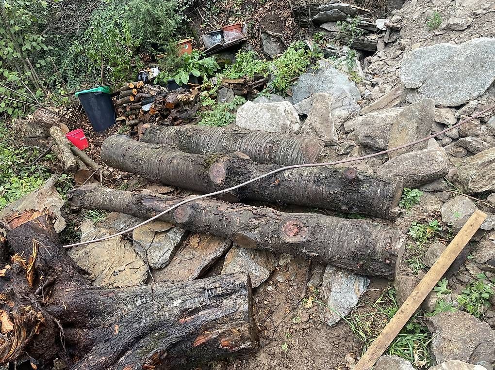 Articoli in legno: Holz Kirsche Baumstämme – Usato da Naters venduto da brunteles 3