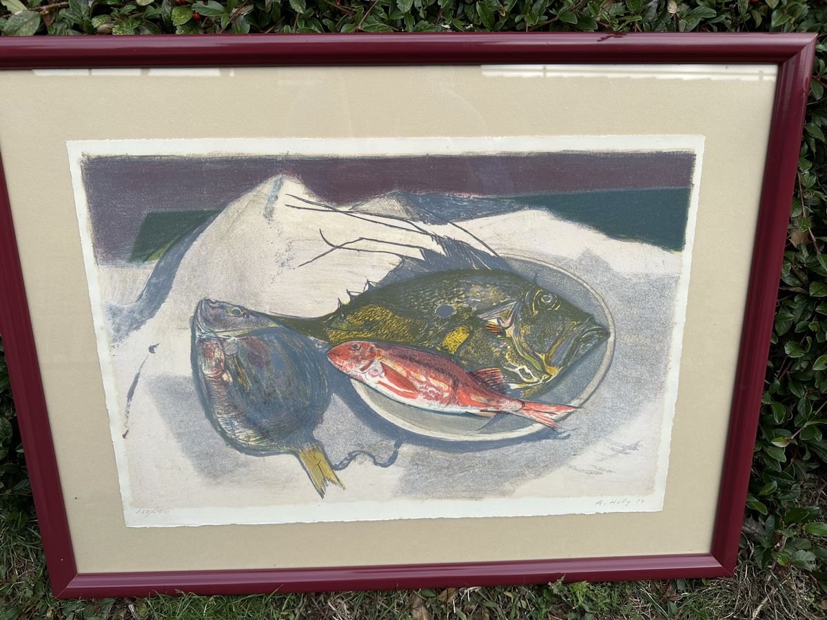 Grafica & Litografie: Lithographie A. Holy, poissons, encadrée – Usato da Lausanne venduto da artnouveau04
