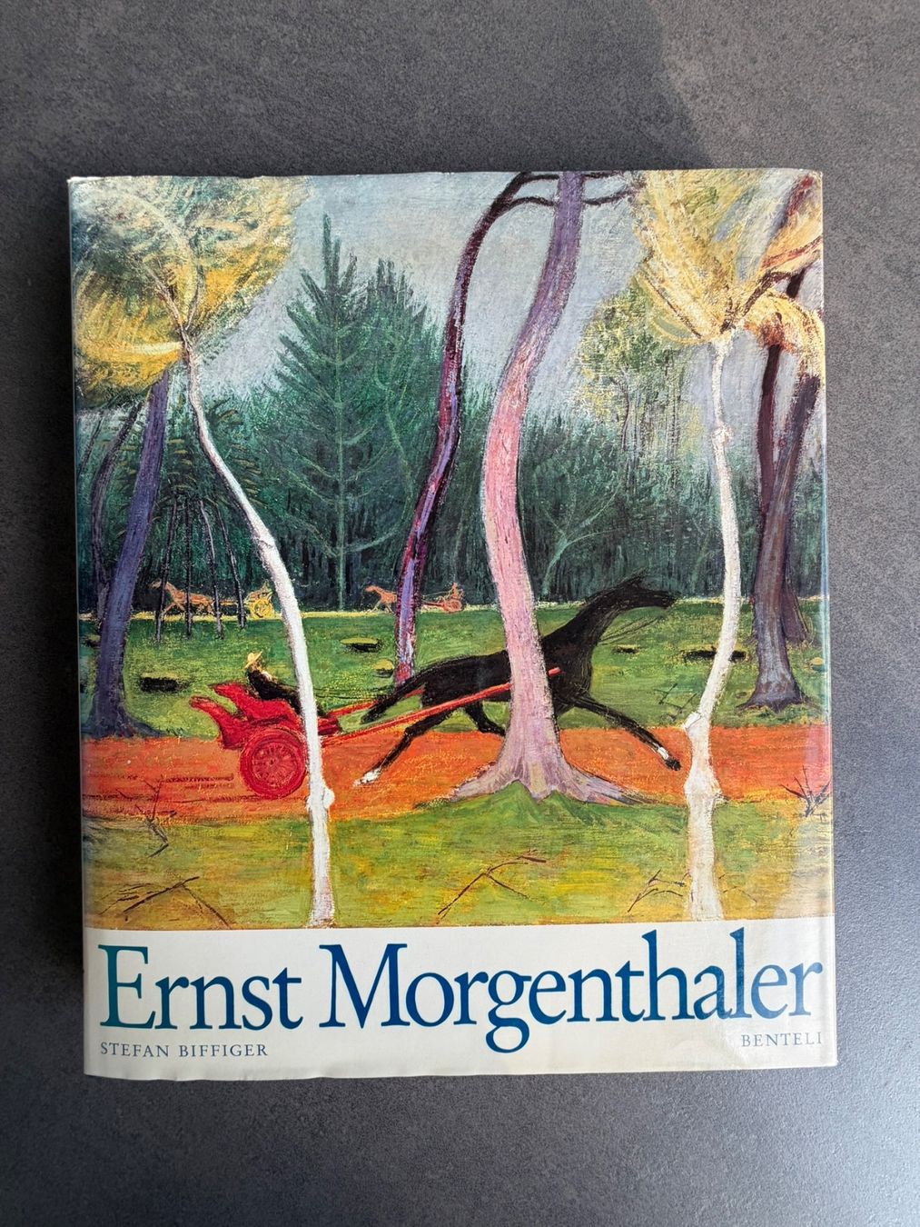 Livres: Ernst Morgenthaler – Neuf (Voir description) à Schlossrued par Meier-Al