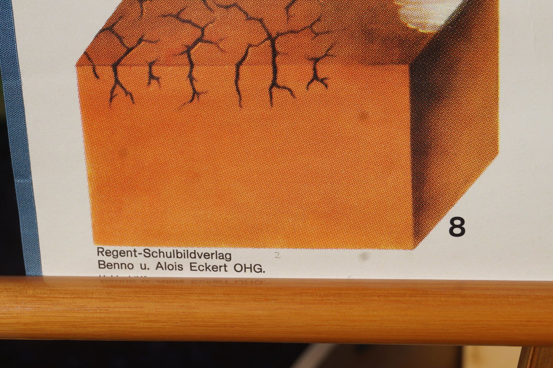 Foto & Immagini: Schulwandbild "Samen und Böden" #f4 – Usato da Härkingen venduto da sammelbecken 4