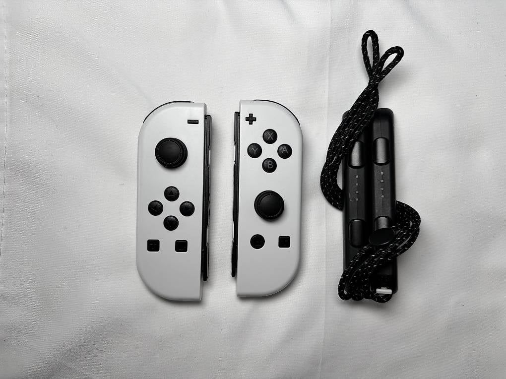 Controller: Nintendo Switch Controller | Joycon – Usato da Gordola venduto da kar_gy5g 2