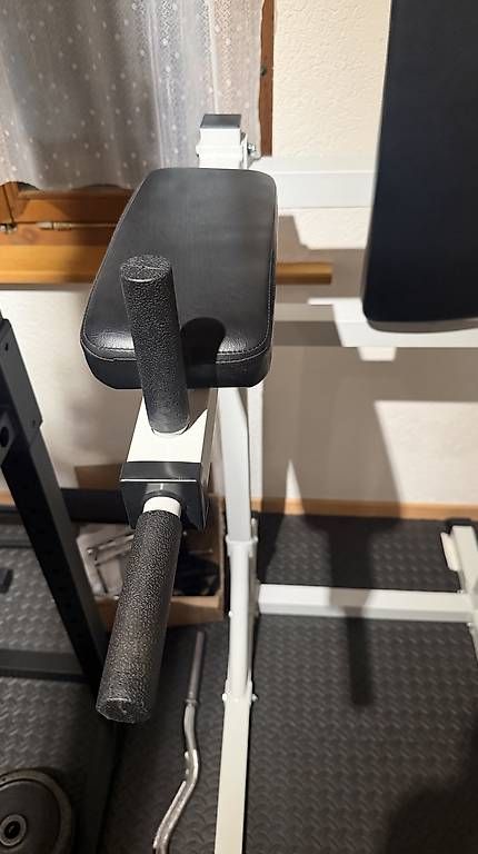 Hometrainer: Klimmzuggerät mit Dipstation – Gebraucht aus Gebenstorf von GianlucaRusso 3