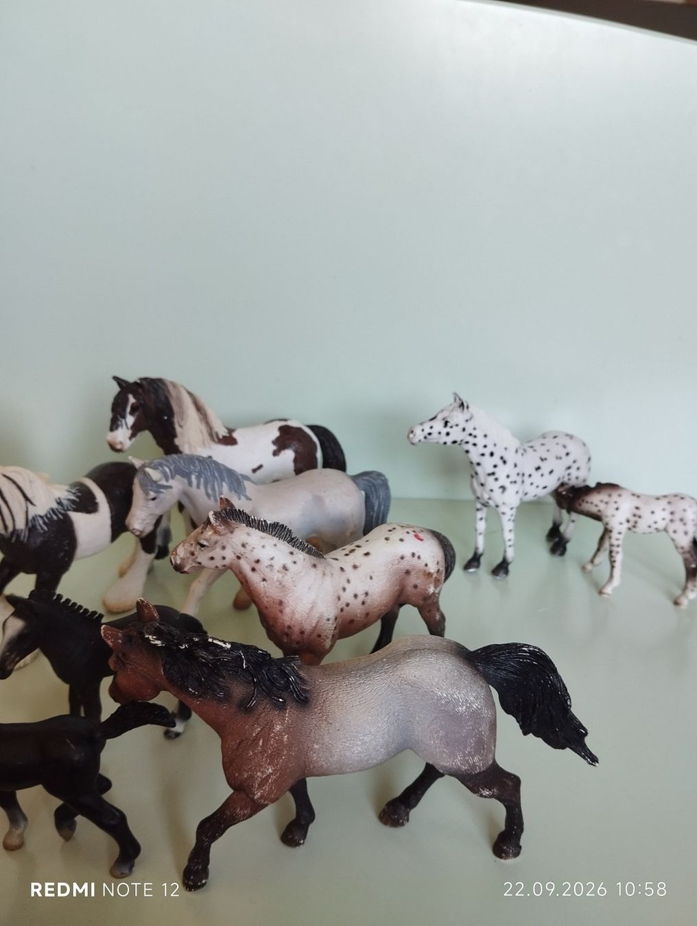 Schleich Statuette: Schleich Pferde Sammlung – Usato da Düdingen venduto da izh_lt5w 3