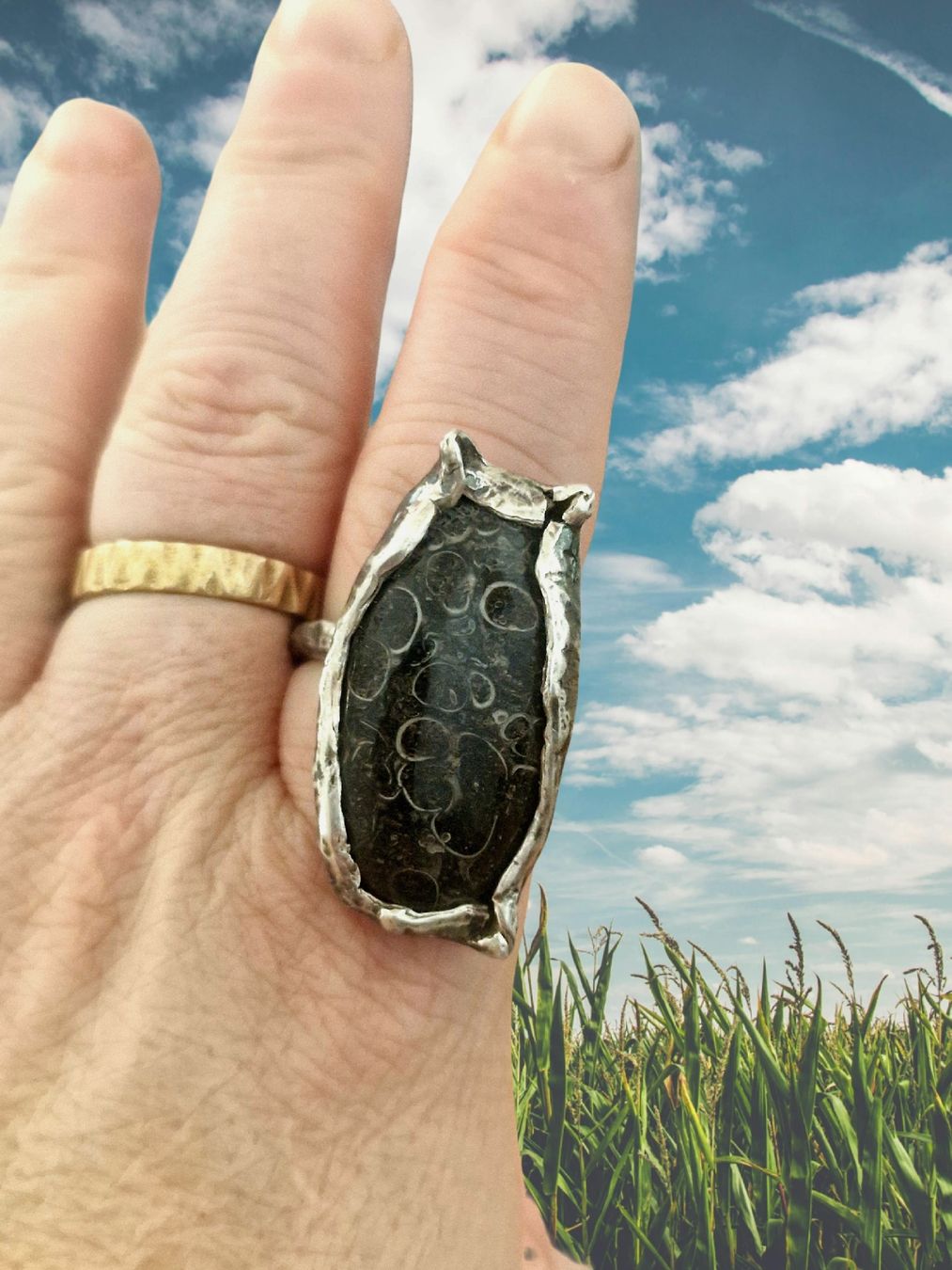 Anelli: Statementring Silber mit Schildkrötenjaspis, Ringgrösse 60,5 – Nuovo e nell'imballaggio originale da Aarau venduto da Schmuckhoehle_MD 7
