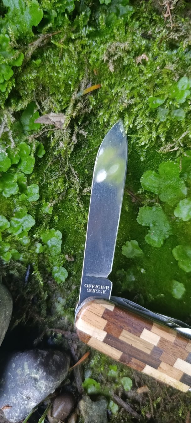 Victorinox Coltelli tascabile: Victorinox Taschenmesser  – Usato da Oppligen venduto da can_rf8g 4