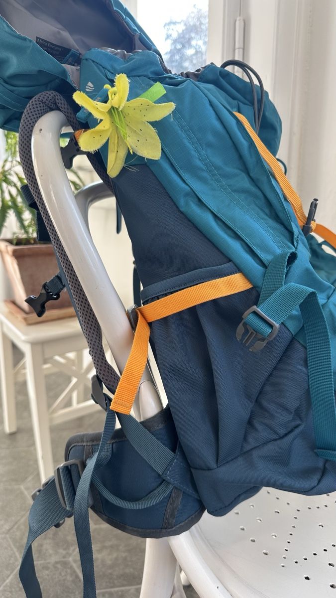 Deuter Sacs & sacs à dos: Trekking-Rucksack Deuter Fox 30 – Neuf (Voir description) à Ennetbaden par Lisa81 3