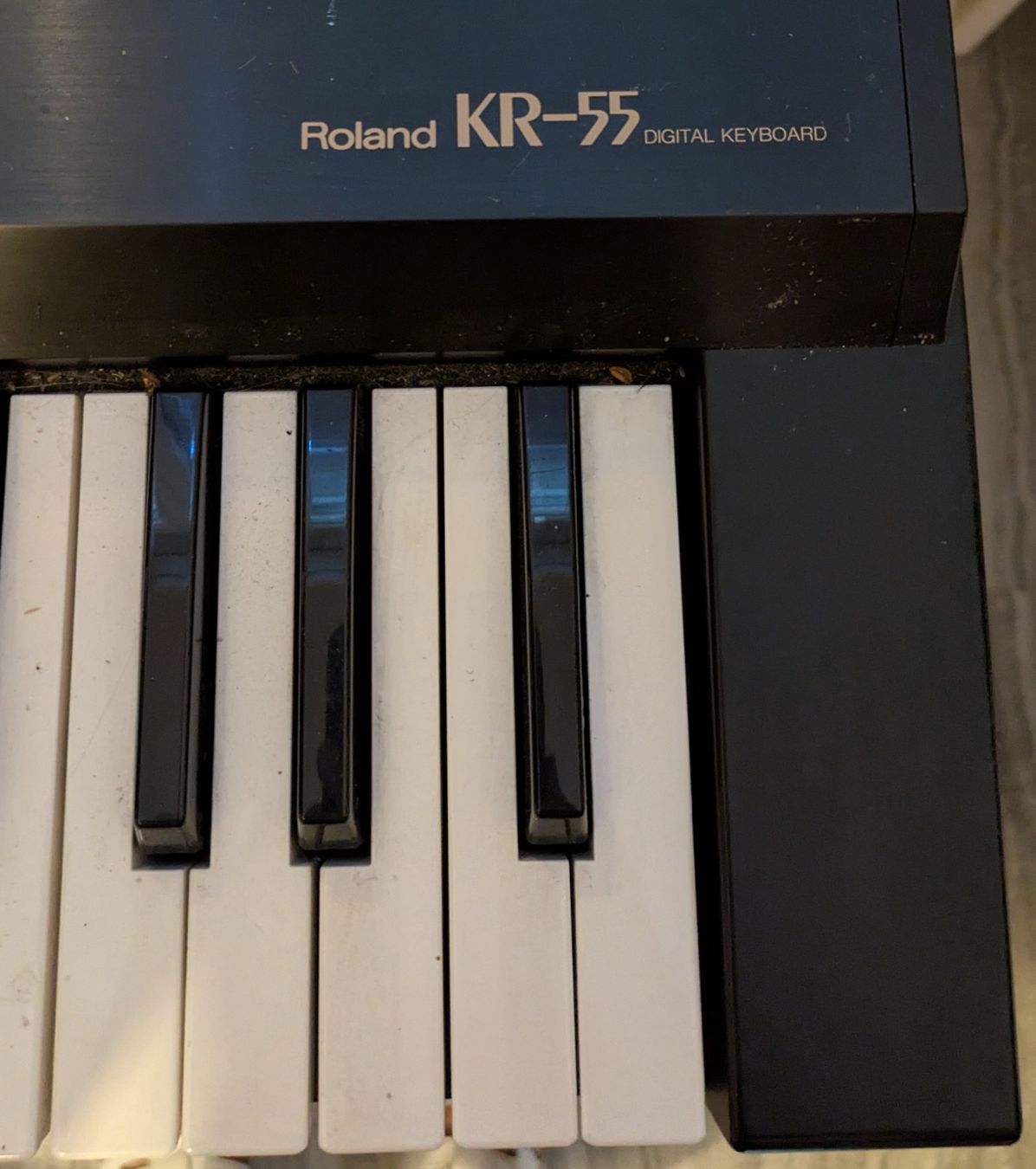 Roland Strumenti musicali: Roland Keyboard KR 55 – Usato da Zetzwil venduto da Stritzi 1