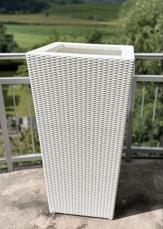 TOP   XXL 100cm Pflanzkbel bertopf Pflanztopf (NP 480) (Gebraucht) in  Rickenbach b. Wil fr CHF 120  nur Abholung auf Ricardo kaufen