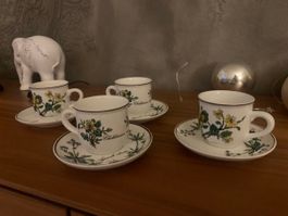 Villeroy und Boch, Botanica, Rarität, 2 Stück