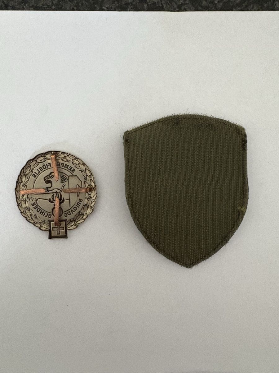 Schweizer Armee Placchette & Badge: Badge Bat / Emblem Pz Brigade 1 – Usato da 3203 Mühleberg venduto da bea_myw6 1