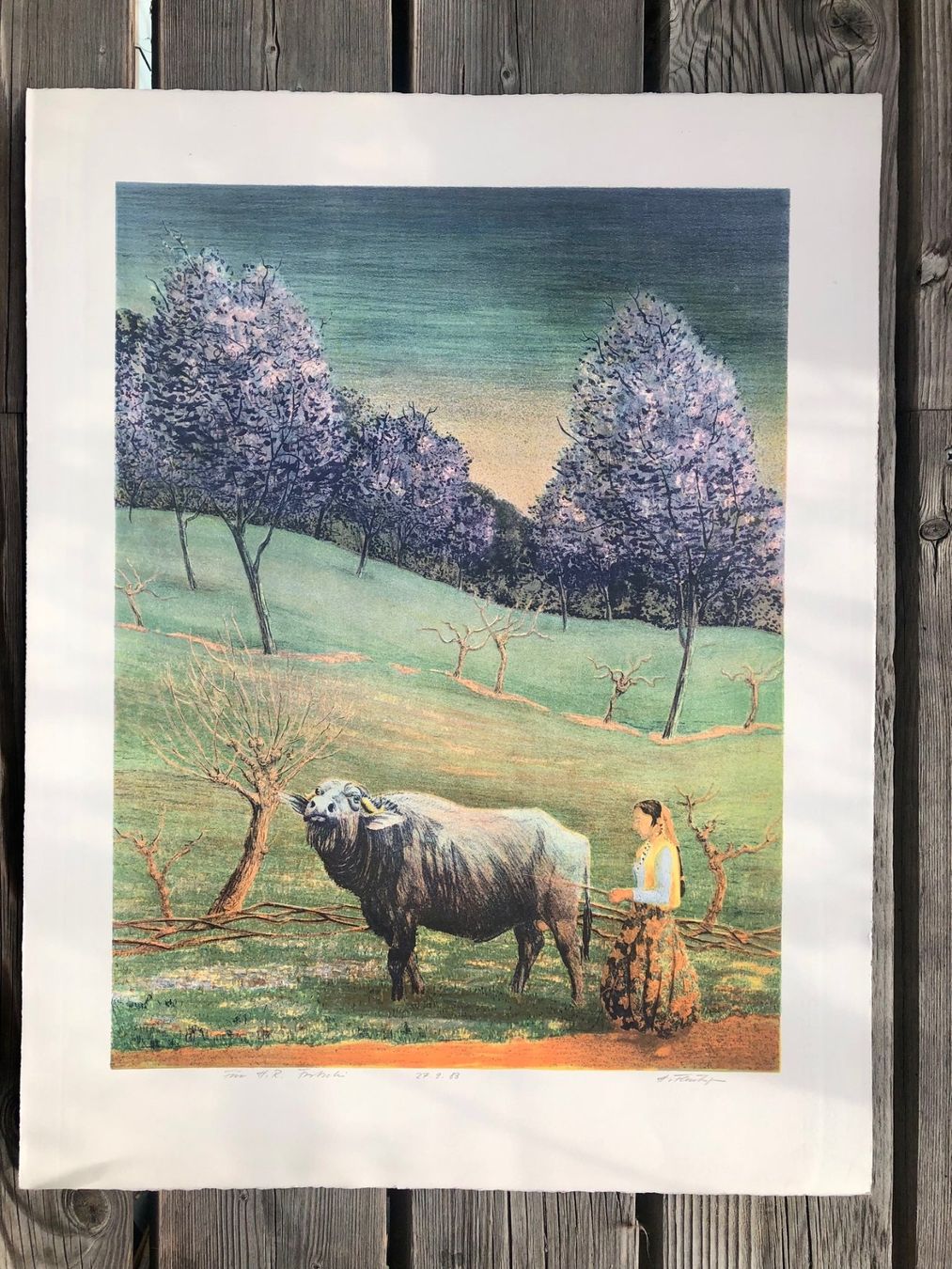 Grafica & Litografie: Lithographie von Hansjörg Flückiger 1983 – Usato da Winterthur venduto da Barunggeli