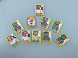 Stickers panini