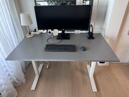IKEA RODULF Electric Height Adjustable Desk (140 × 80 cm)