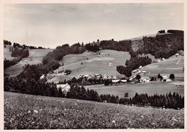 Kaien bei Rehetobel, gelaufen 1954