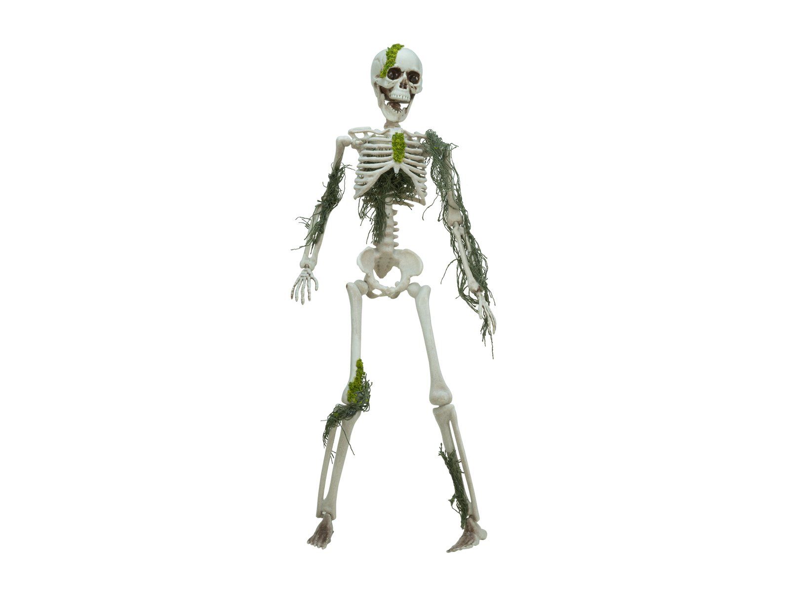 Statuette: EUROPALMS Halloween Skelett mit Moos, 40cm – Nuovo e nell'imballaggio originale da Däniken SO venduto da Profog1 3