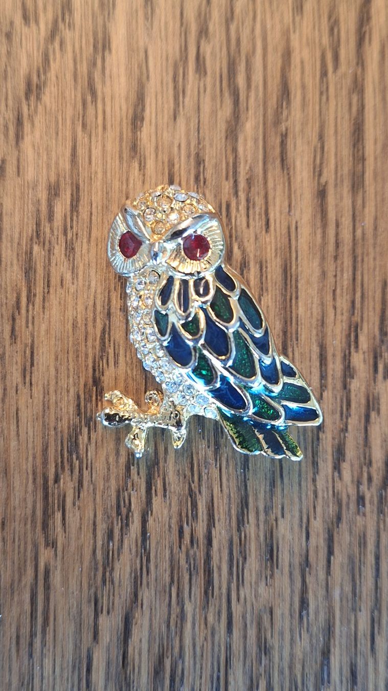 Spille & Fermagli: Vintage Eule Brosche, Strass, Schmuck, Herbst Accessoire – Usato da Ebmatingen venduto da Tschiipii