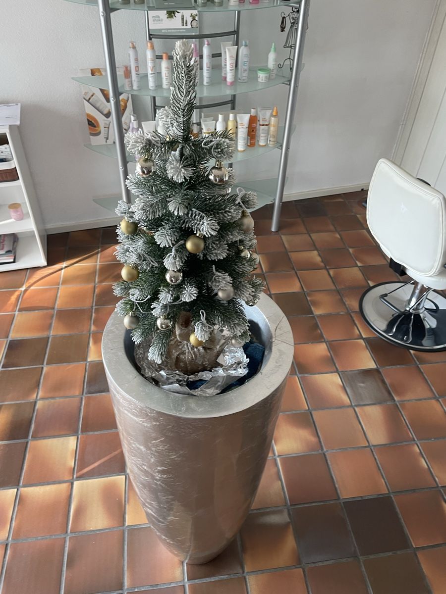 Blumentöpfe: Blumentopf Silber  – Gebraucht aus Volketswil von Edwiga01 2
