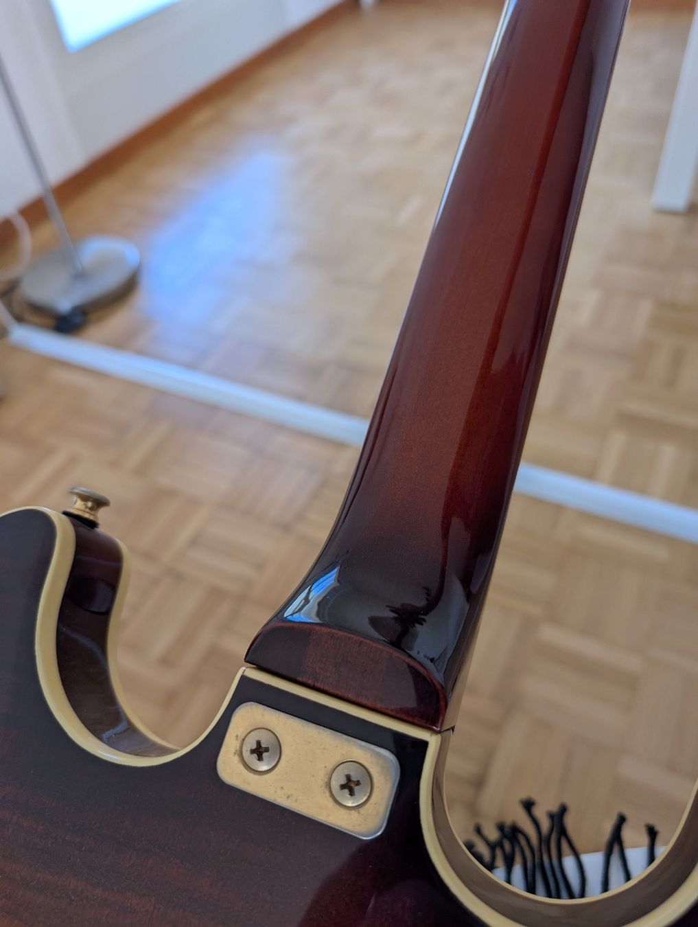 Aria Strumenti musicali: Gaucher Aria Pro II TA-50 – Usato da Ecublens VD venduto da seb_gtr 7