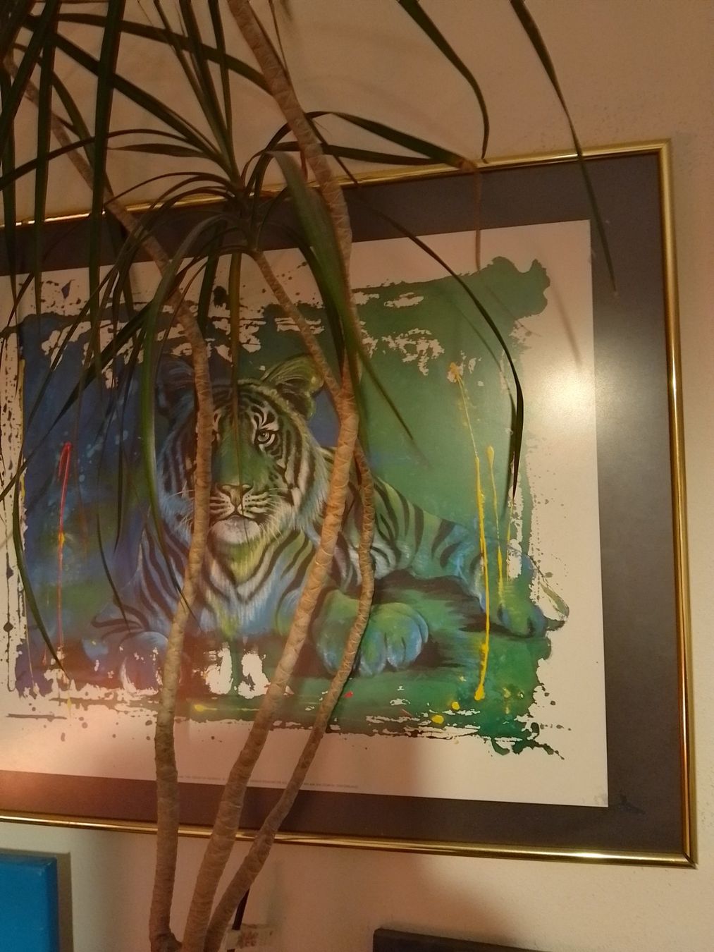 Poster & Bilder: Bild Rolf Knie – Gebraucht aus Weinfelden von PaterPio1968