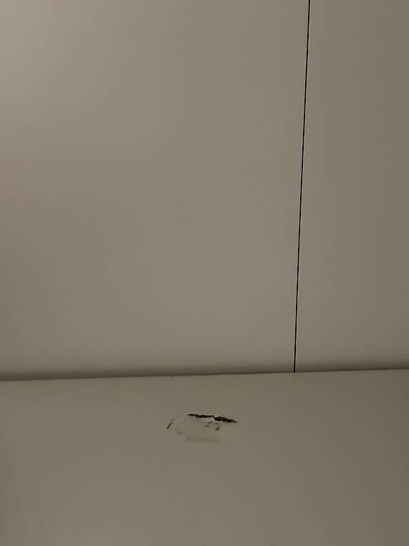 Armadi: Ikea FORSAND / PAX – Usato da Herrliberg venduto da jil_y77h 2