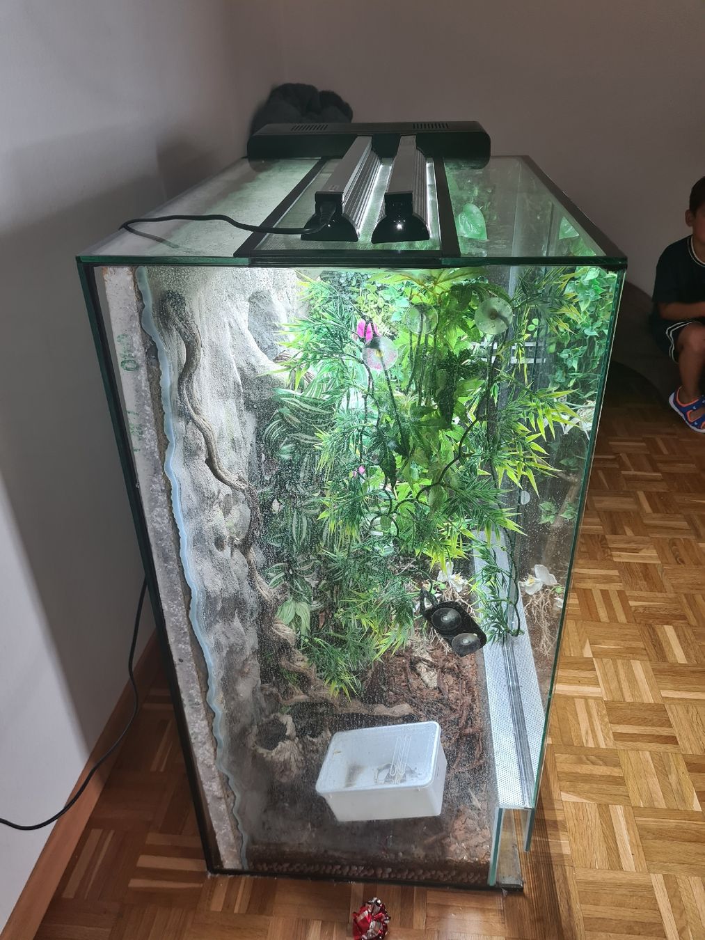 Terrario: Terarium  – Usato da Alchenflüh venduto da mar_85bk 1