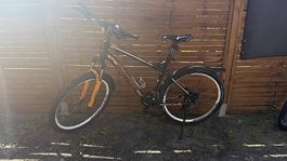 Top gepflegtes Canyon Mountainbike  Frischer Service