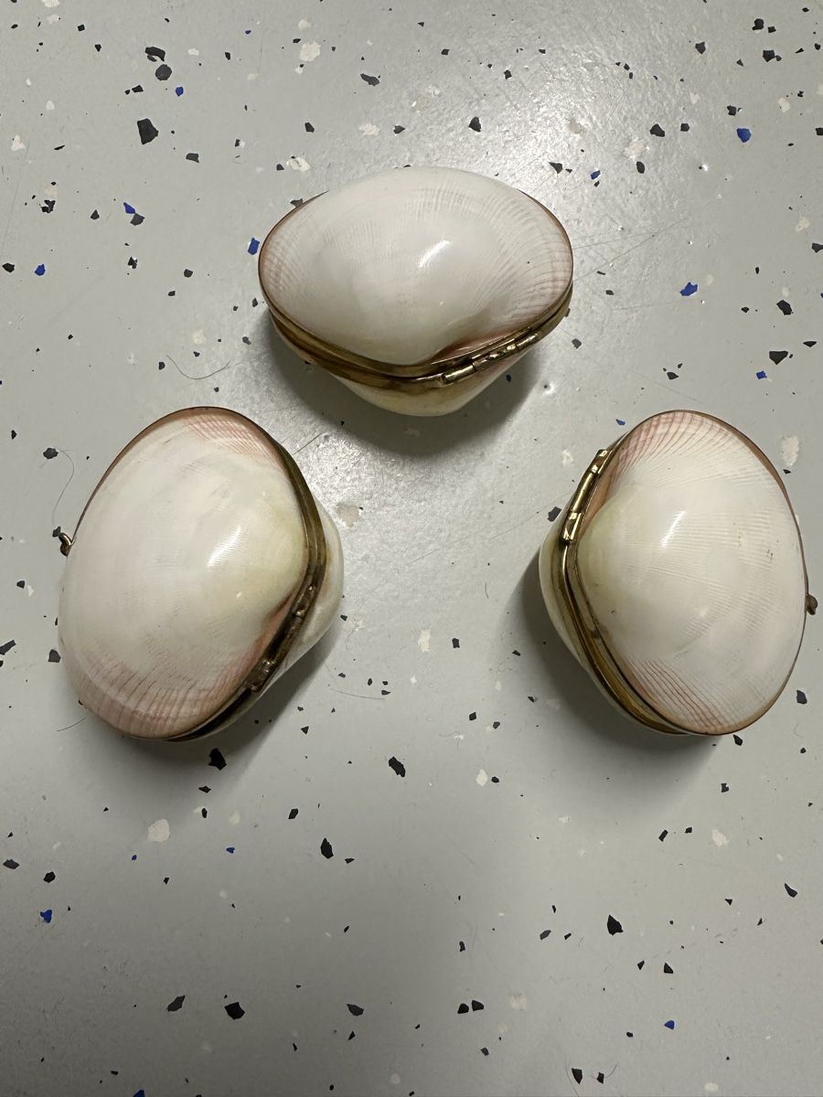 Tutte le decorazioni: Antike Pillendose Muscheln  – Usato da Oberentfelden venduto da vilibrand 6