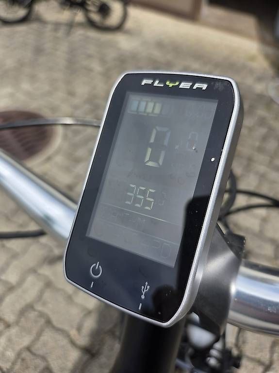 Flyer Biciclette: E-Bike Flyer – Usato da Dachsen venduto da bea_jvs2 2