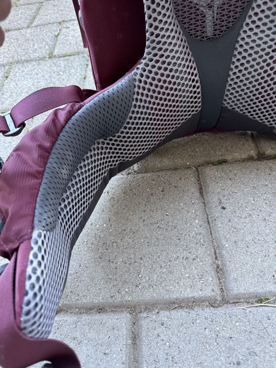 Deuter Bauch- & Rückentragen: Wanderrucksack Kid Confort – Gebraucht aus Hüttikon von jcl_fgg8 4