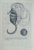 IL CAVALUCCIO MARINO - Das Seepferd - Signierte Lithographie