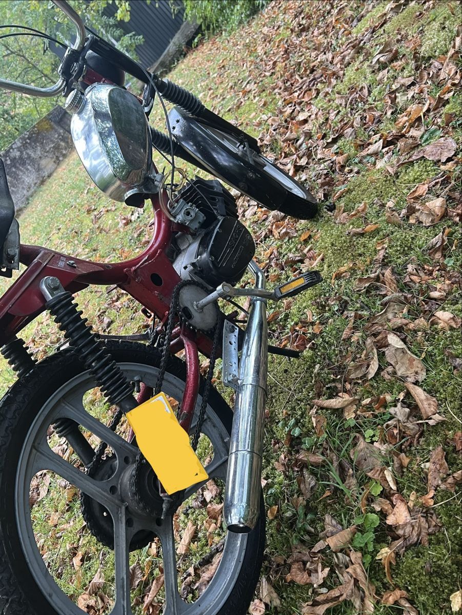 Sachs Mofas: Alpha Turbo 503/ADV Mit ausweis  – Gebraucht aus Oberbuchsiten von Sven_K. 3