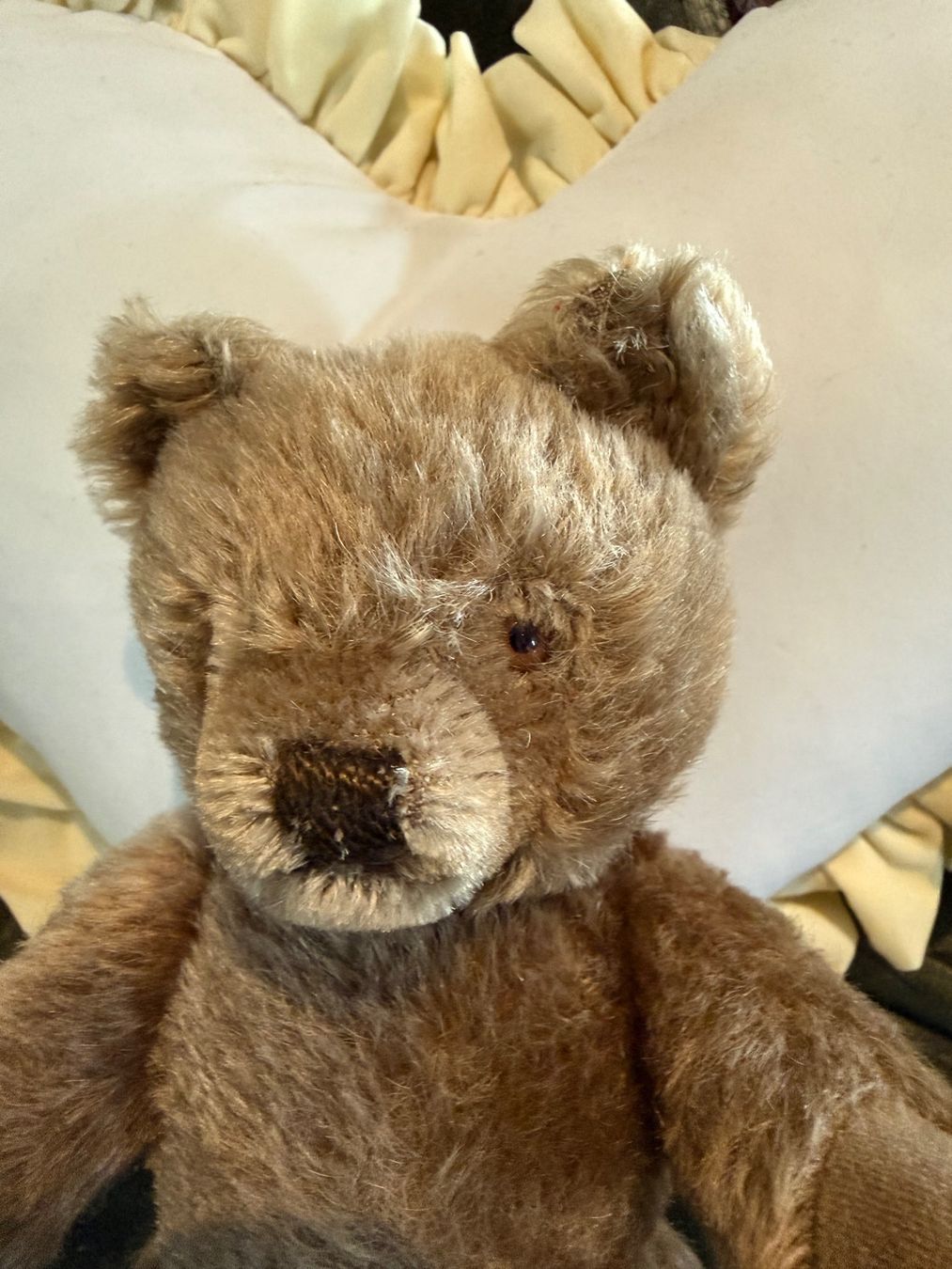 Steiff Jouets: Süsser , älterer Steiff Teddybär 🧸 – D'occasion à Schaan par chinchillali 1