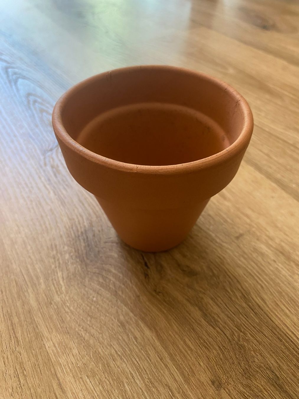 Vasi per fiori: Terracotta Plant Pot (8 cm diameter) – Usato da Olten venduto da ike_z56r