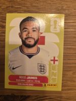 Panini Sticker 2026 ENG 7