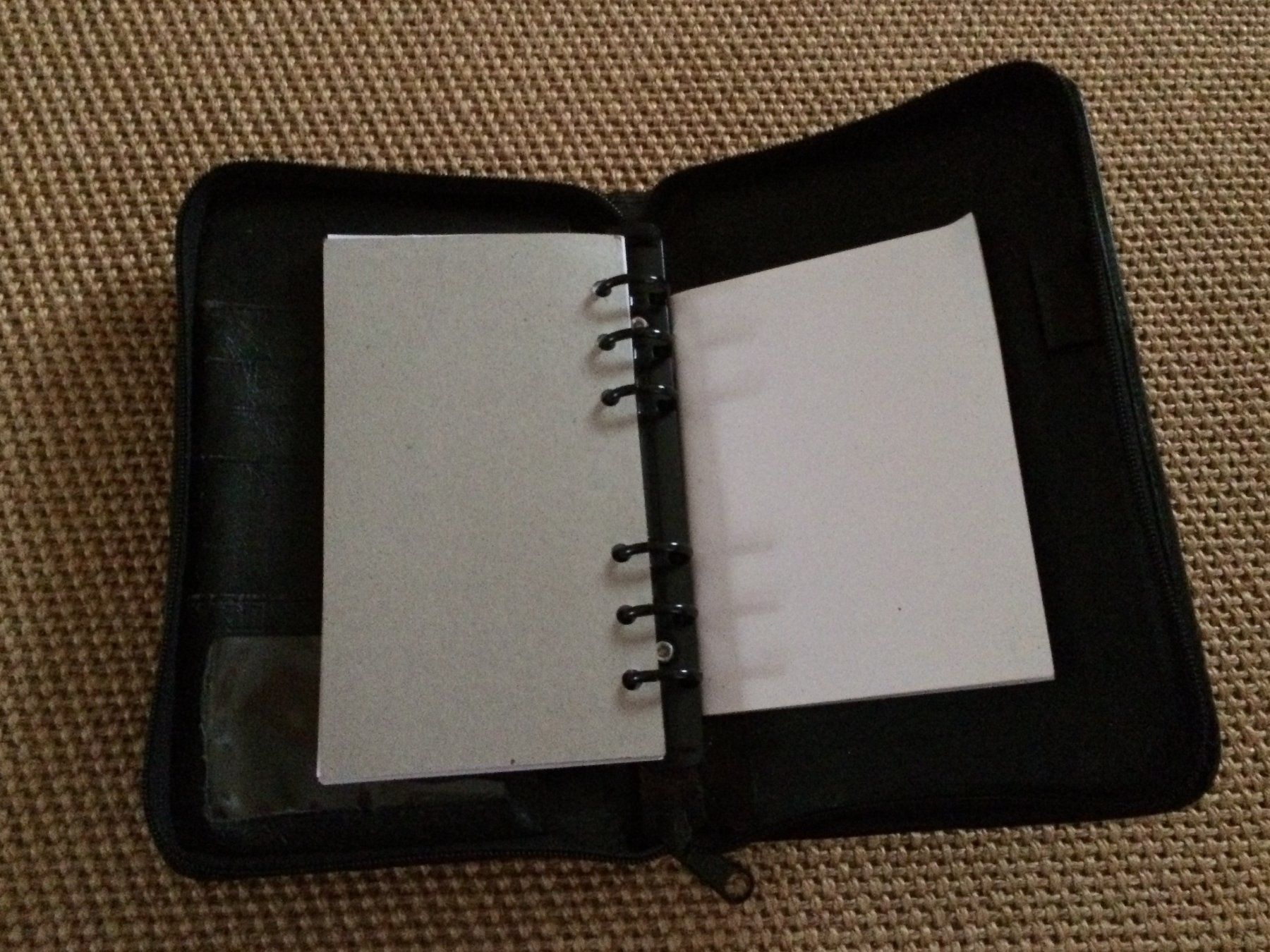 Calendari: Terminplaner A5 Leder, ca. 14 x 22 x3 cm – Usato da Buchs AG venduto da ReaNaTsch 3