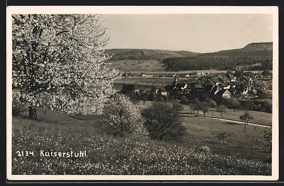 Cartoline postali: Kaiserstuhl, Gesamtansicht von einer Wie – Usato da Berlin venduto da bartko-reher