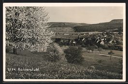 Kaiserstuhl, Gesamtansicht von einer Wie