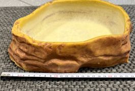 Wassernapf für Reptilien - Terrarium