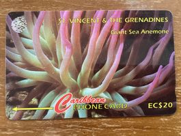 Telefonkarte St. Vincent & The Grenadines Seeanemone