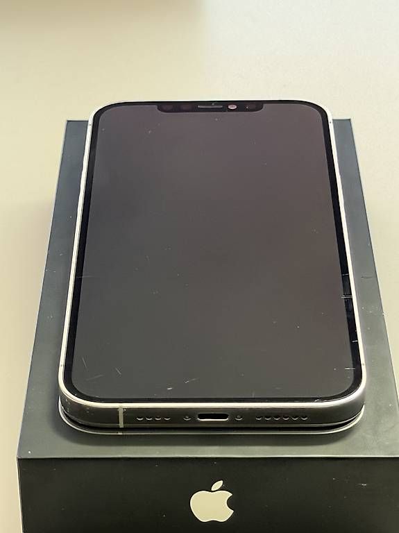 Apple Telefoni cellulari / Smartphones: iPhone 12 Pro Max 256GB in Silver/White – Usato da Riedikon venduto da Shane_G 2