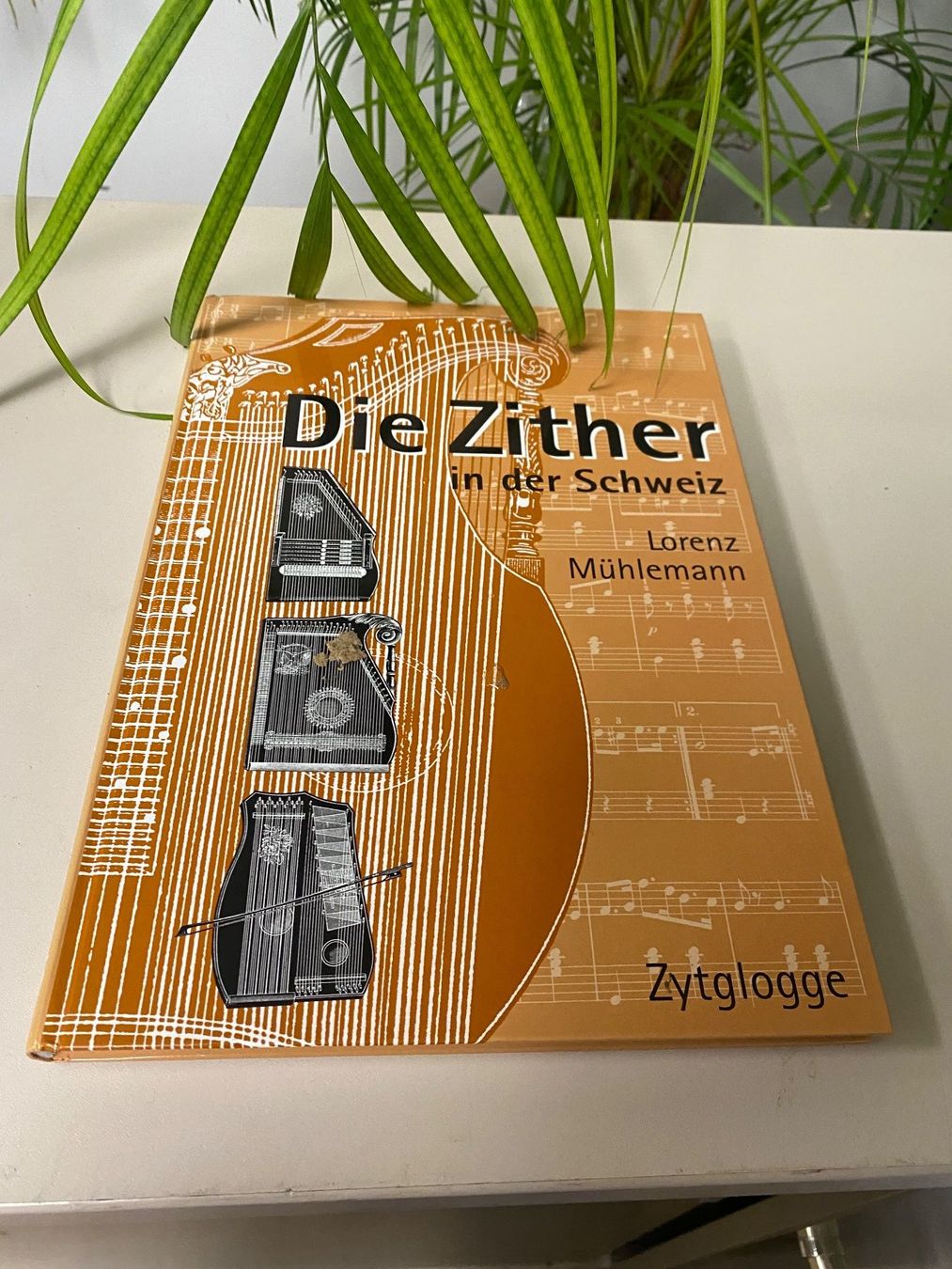 Libri: Buch "Die Zither" Entwicklungsgeschichte ! – Usato da Brügg BE venduto da rutschimedizin