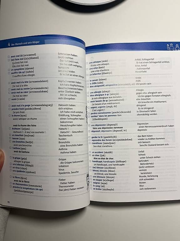 Libri: Französisch Thematischer Schulwortschatz  – Usato da Bottmingen venduto da vera_am 3
