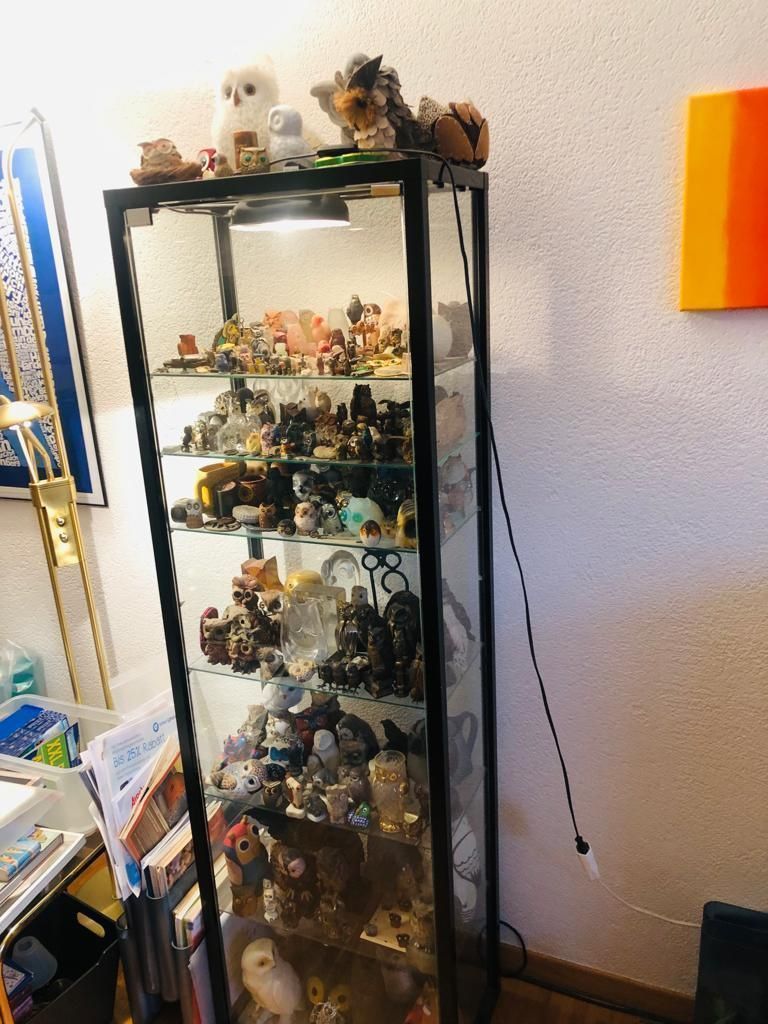 Vetrine: Vitrine mit ca. 300 Eulen zu verkaufen – Usato da Bern venduto da Tresor1952