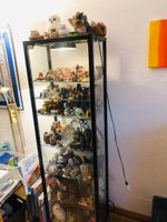 Vitrine mit ca. 300 Eulen zu verkaufen