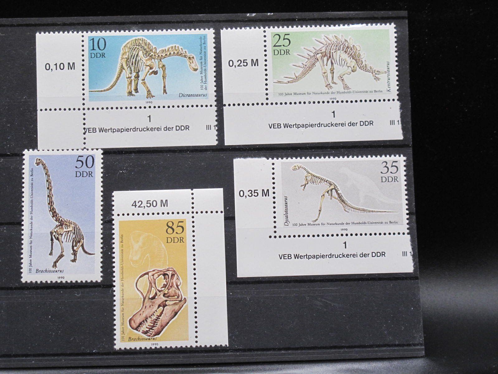Tutti i francobolli: DDR 1990 Naturkunde Museum ** – Usato da Wil SG venduto da fva01