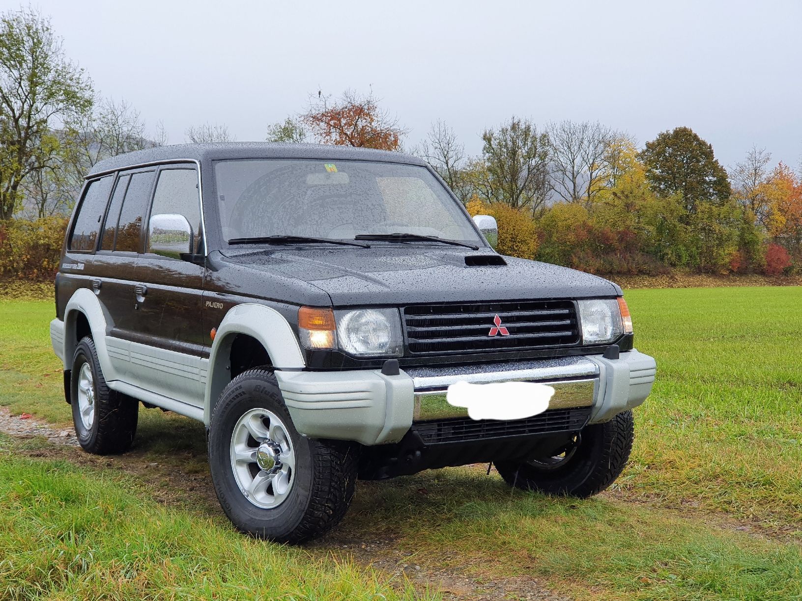 Mitsubishi Automobili: Mitsubishi Pajero 2.8 TD Wagon – Usato da Krauchthal venduto da 4by4 9