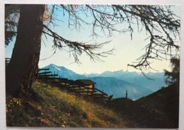Auf dem Weg nach Torrentalp mit Walliser-Alpen